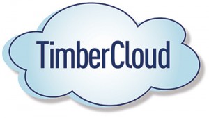 Large-Timber-Cloud