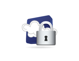 secure_servers_icon