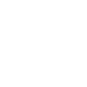 icon_network