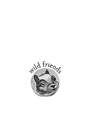 case-studies-cover-art